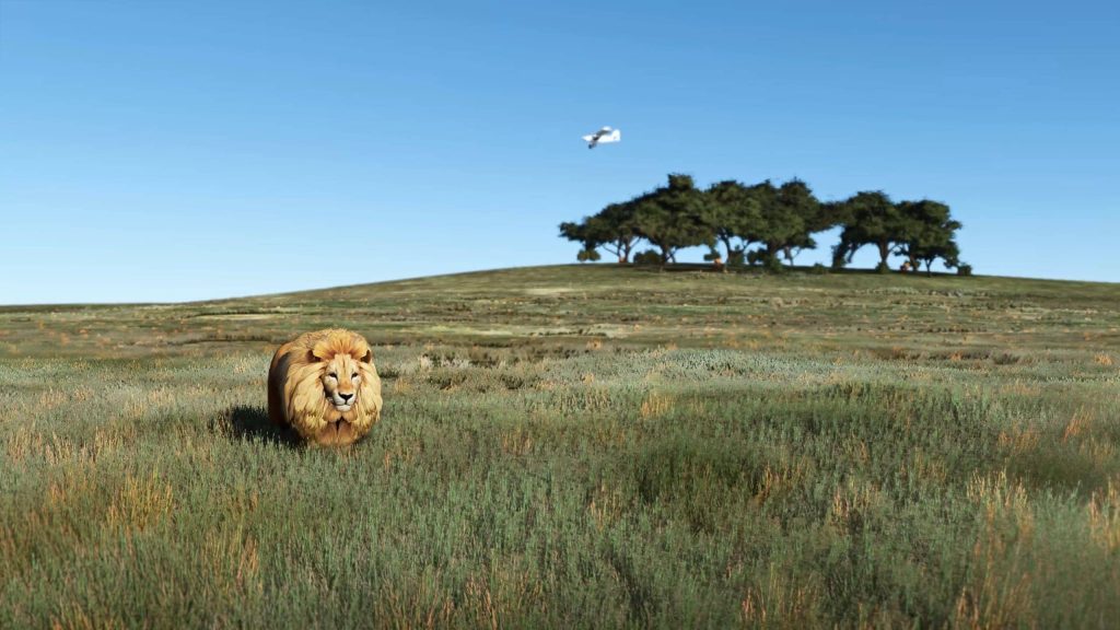 A lion brought to life thanks to Animals by SoFly