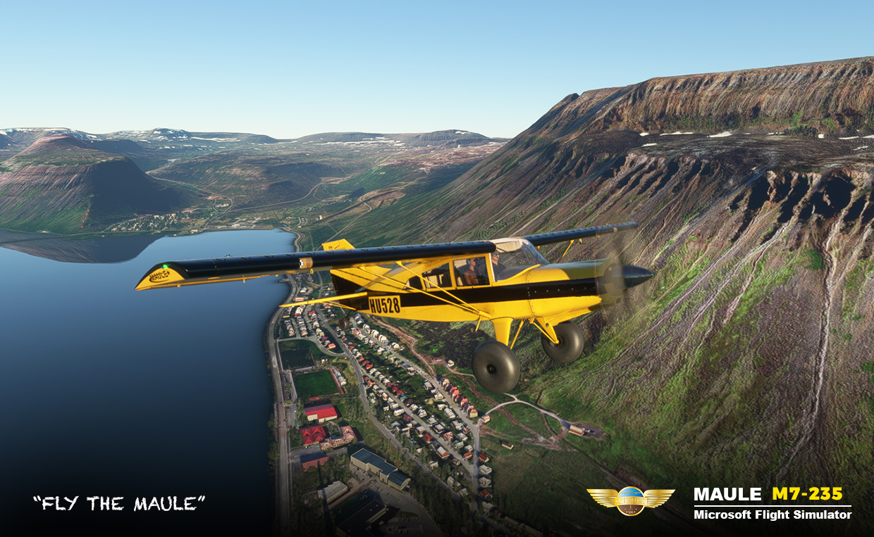 Your guide to Microsoft Flight Simulator 2020