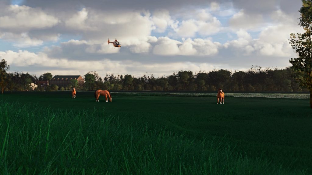SoFly's Animals for MSFS project is the latest development in simulator immersion. And it is now officially available!