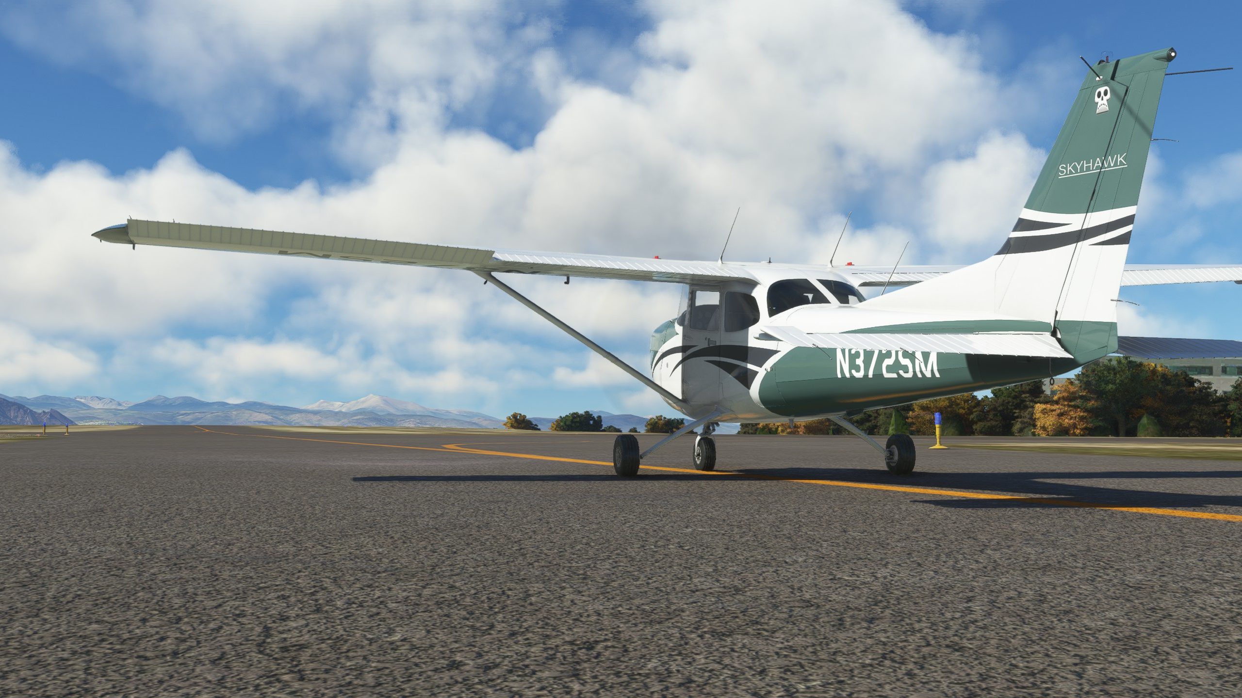 Microsoft Flight Simulator X For Pilots: Real World Training